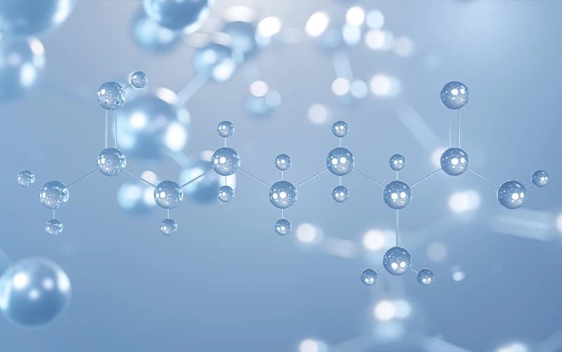 Peptides and Amino Acids: A Beginner's Guide